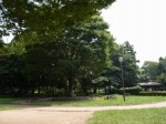 内牧公園の写真のサムネイル写真3