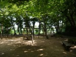 内牧公園の写真のサムネイル写真8