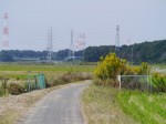 内牧公園の写真のサムネイル写真31