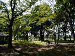 内牧公園の写真のサムネイル写真41