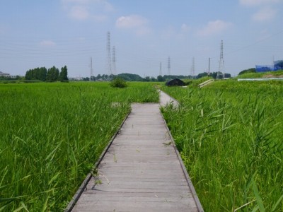 内牧黒沼公園の写真3