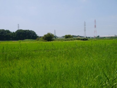 内牧黒沼公園の写真4