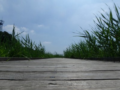 内牧黒沼公園の写真7