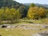 神流川水辺公園の写真のサムネイル写真137