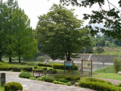 神流川水辺公園の写真2