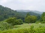 神流川水辺公園の写真のサムネイル写真5