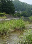 神流川水辺公園の写真のサムネイル写真12