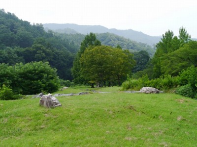 神流川水辺公園の写真13