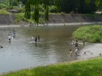 神流川水辺公園の写真のサムネイル写真14