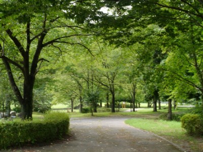 神流川水辺公園の写真17