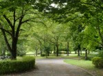 神流川水辺公園の写真のサムネイル写真17