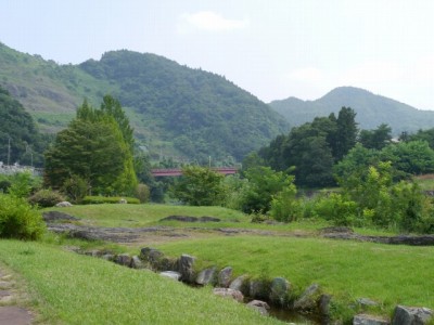 神流川水辺公園の写真24