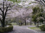 神流川水辺公園の写真のサムネイル写真26