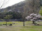 神流川水辺公園の写真のサムネイル写真27