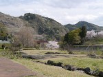 神流川水辺公園の写真のサムネイル写真29