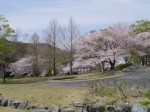 神流川水辺公園の写真のサムネイル写真32