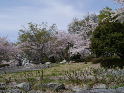 神流川水辺公園の写真35