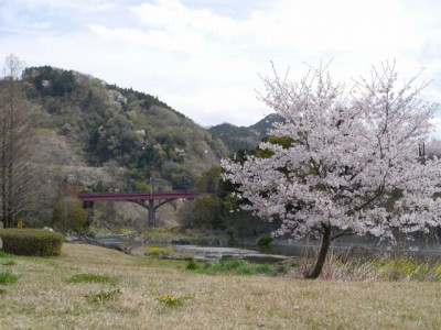 神流川水辺公園の写真36