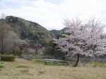 神流川水辺公園の写真のサムネイル写真36