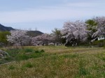 神流川水辺公園の写真のサムネイル写真39