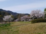 神流川水辺公園の写真のサムネイル写真41