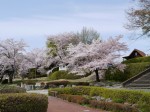 神流川水辺公園の写真のサムネイル写真42