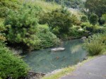 神流川水辺公園の写真のサムネイル写真48