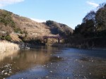 神流川水辺公園の写真のサムネイル写真75