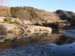 神流川水辺公園の写真のサムネイル写真77