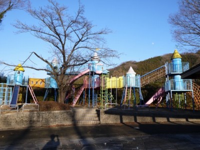 神流川水辺公園の写真80