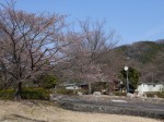 神流川水辺公園の写真のサムネイル写真108