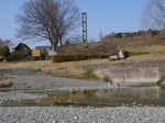 神流川水辺公園の写真のサムネイル写真115