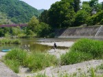 神流川水辺公園の写真のサムネイル写真119