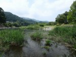 神流川水辺公園の写真のサムネイル写真86