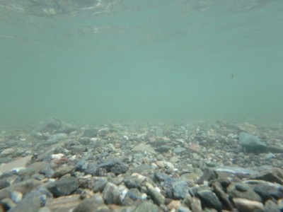 神流川水辺公園の写真32