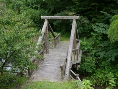 鳥羽川河川公園の写真