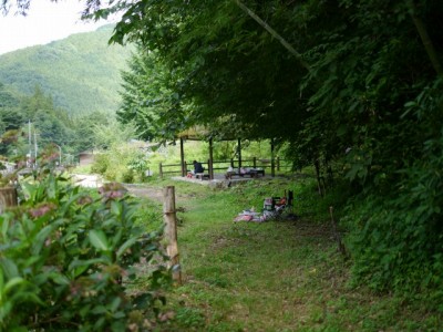 鳥羽川河川公園の写真7