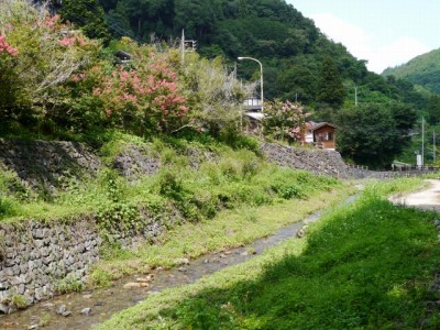 鳥羽川河川公園の写真8