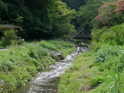 鳥羽川河川公園の写真10