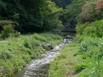 鳥羽川河川公園の写真のサムネイル写真10