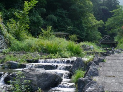 鳥羽川河川公園の写真12