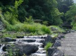 鳥羽川河川公園の写真のサムネイル写真12