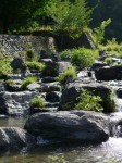 鳥羽川河川公園の写真のサムネイル写真13