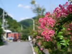 鳥羽川河川公園の写真のサムネイル写真16