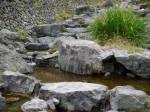 鳥羽川河川公園の写真のサムネイル写真22