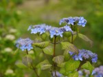 鳥羽川河川公園の写真のサムネイル写真29