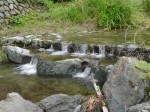 鳥羽川河川公園の写真のサムネイル写真41