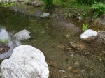鳥羽川河川公園の写真のサムネイル写真50