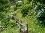 鳥羽川河川公園の写真のサムネイル写真65