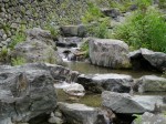 鳥羽川河川公園の写真のサムネイル写真73